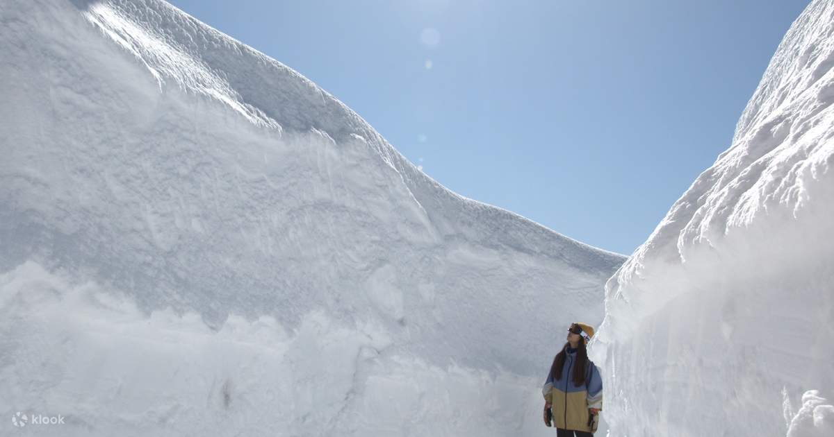 Hakuba Tsugaike Snow Wall & Shinshu's 2 Best Cherry Blossom